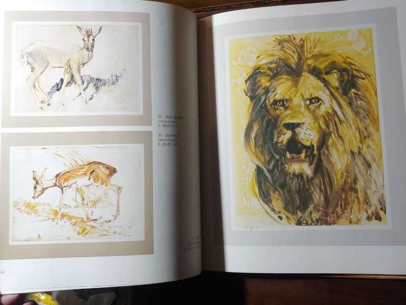 The Art of Zakkie Eloff