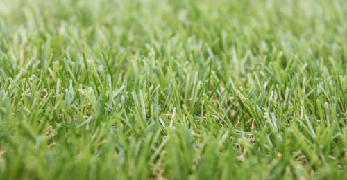 Artificial Grass Lawn Turf 20mm - Natural & Realistic Looking - 10 Square Meter (2X5 Meter)