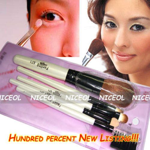 5 Piece Cosmetic  Makeup Brush Set w/Case