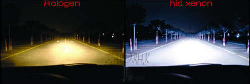 NEUX XENON BULB HID