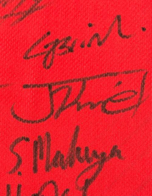 Lions Super Rugby 2017 Signed Jersey