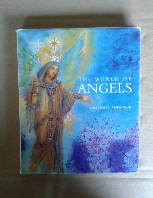 The World of Angels Hardcover