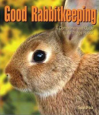 Good Rabbit keeping