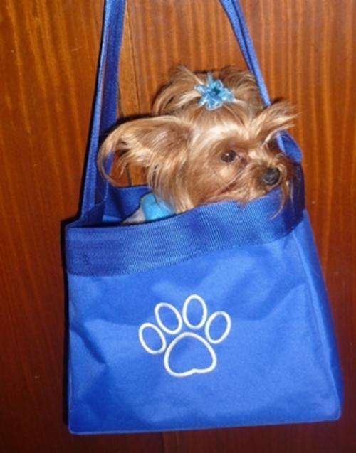 Doggy Carry Bags - only 12 avail