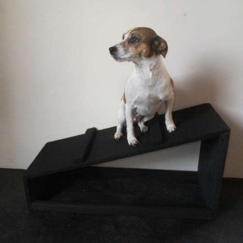 DOGGY RAMP 50H SOLID