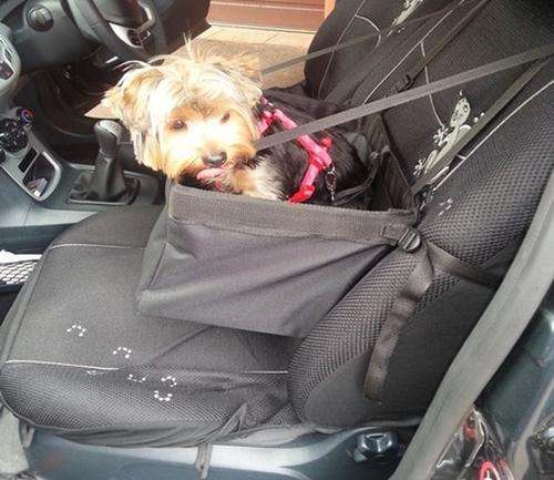 VOYAGER DOG CAR BOOSTER SEATS