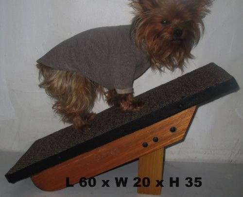 Doggy Ramp 5