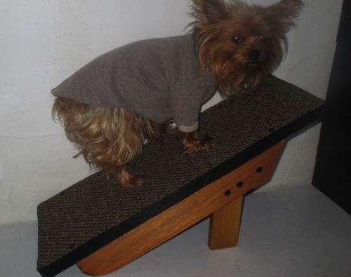 Doggy Ramp 5