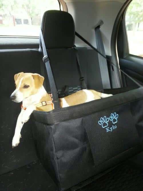 Dog Car Seat