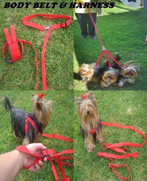HANDS FREE BODY BELT AND LEAD WITH MULTI CLIP ON STRAPS