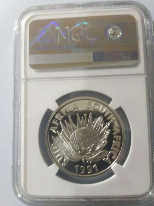 Beautiful 1991 Nursing Protea R1 Graded PF69 By Ngc