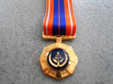 Pro Patria Miniature Medal