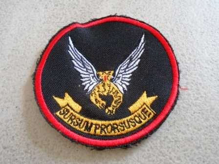 2 Squadron Patch