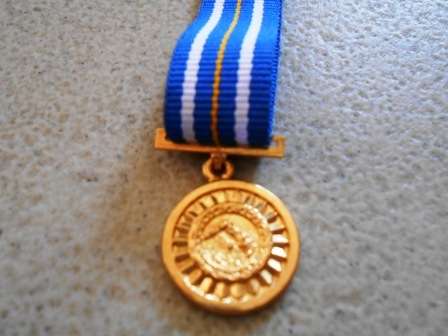 SWA Miniature Medal