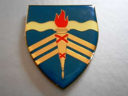 Regiment Schoonspruit Shoulder Flash - (Note pins have been cut short)