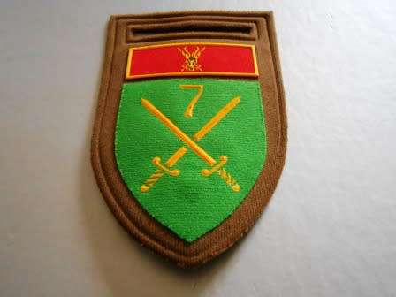 7 SA Division Nutria shoulder flash *** Hard to Find ***