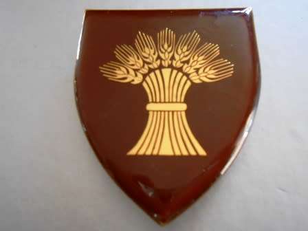 Bethlehem Commando Shoulder Flash  *** Hard to Find ***
