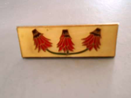 far North Command Formation Bar