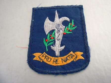 17 Squadron Patch