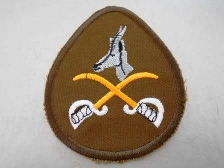 Army Asst PTI Instructors Nutria Qualification Badge