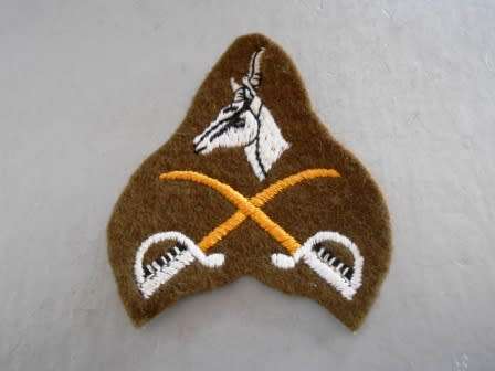 Army Assistant PTI Instructor Badge