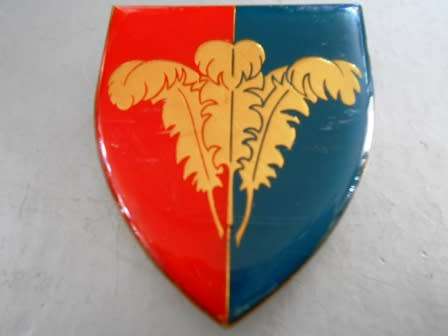 Southern Cape Command Workshop Shoulder Flash