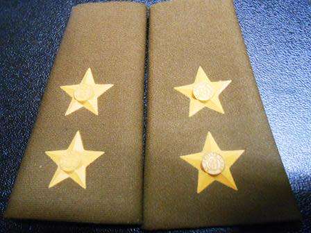 Lt Nutria Rank Insignia - Raised Type