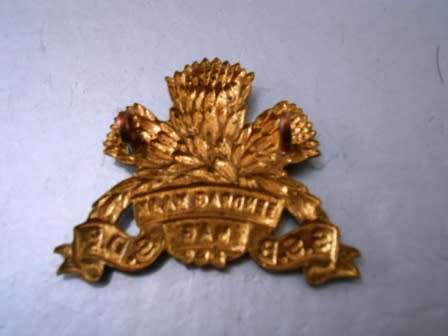 SSB Cap Badge