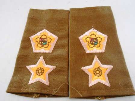 SADF Commandant Nutria Insignia *** Hard to Find ***