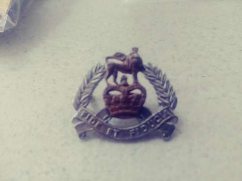 Rhodesian Badges