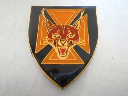 7 South African Infantry Shoulder Flash