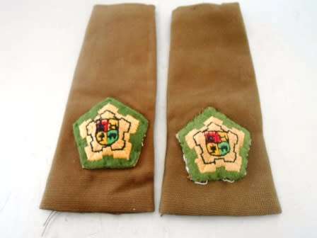 Major Nutria Rank Insignia *** Early type Hard to Find ***