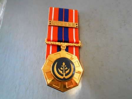 Pro Patria Court Mounted "Full Size Medal"