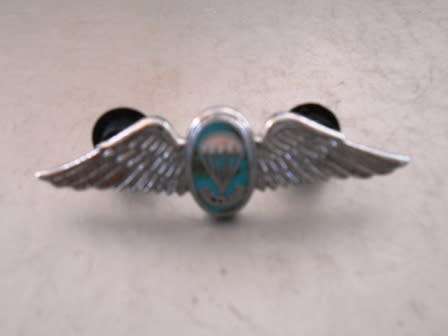SA Para Instructor Qualification Wing *** Miniature Size ***