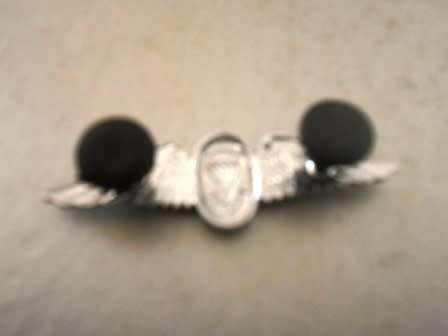SA Para Instructor Qualification Wing *** Miniature Size ***