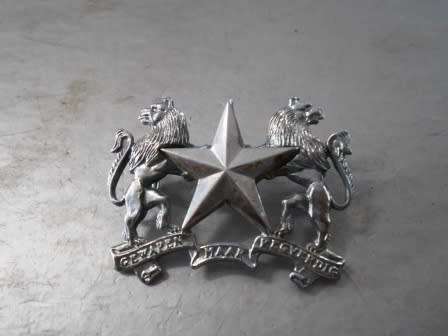 Regiment Molopo Cap Badge