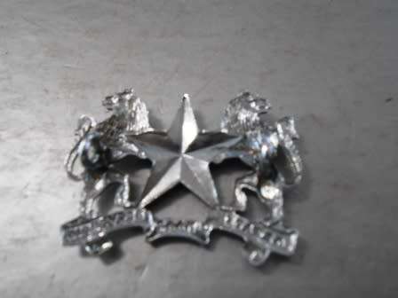 Regiment Molopo Cap Badge