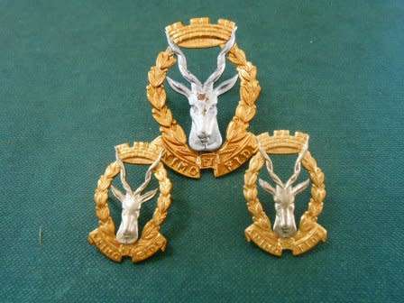 Regiment South West Africa Cap & Collar Badges *** Hard to Find ***
