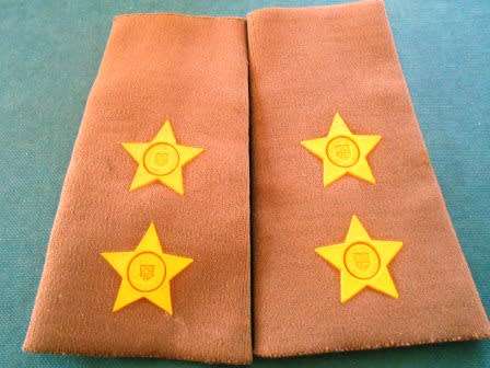 Set of SADF Lt Ranks