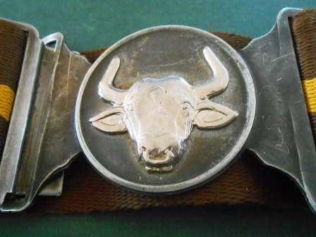 SADF 116 Battalion Stable Belt *** Very Rare to Find ***