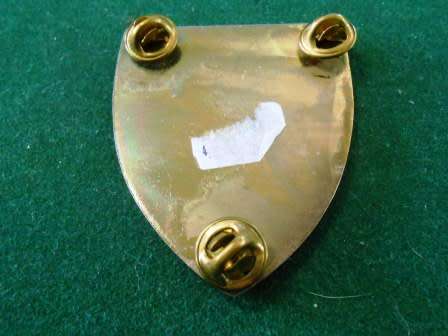Eastern Province Command Provost Unit Shoulder Flash