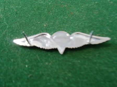 Free Fall Miniature Parabat Qualification Wing