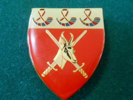 Orange Free state Command Shoulder Flash