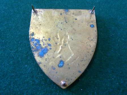 Orange Free state Command Shoulder Flash