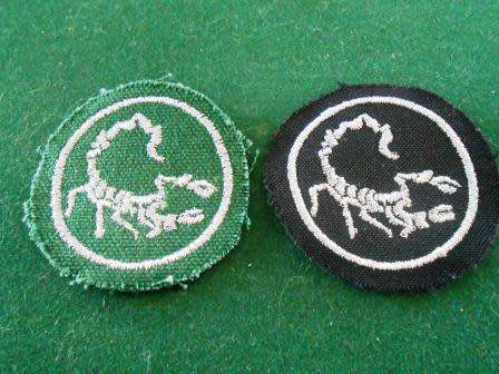 Pair Hunter Group Arm Badges
