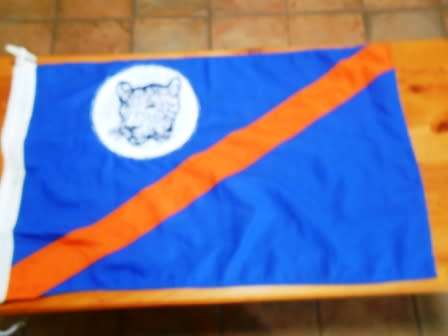 Bophuthatswana National Flag ( Size +-92cm X 53 CM)