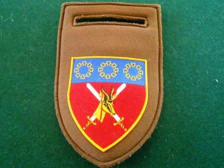 Logistics Command Nutria Shoulder Flash