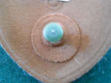Logistics Command Nutria Shoulder Flash