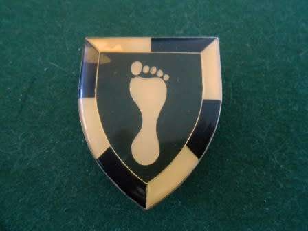 SWATF : 1 SWA Special Forces Unit Pocket Flash