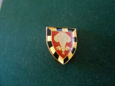 1 South African Infantry Battalion Cravat Pin